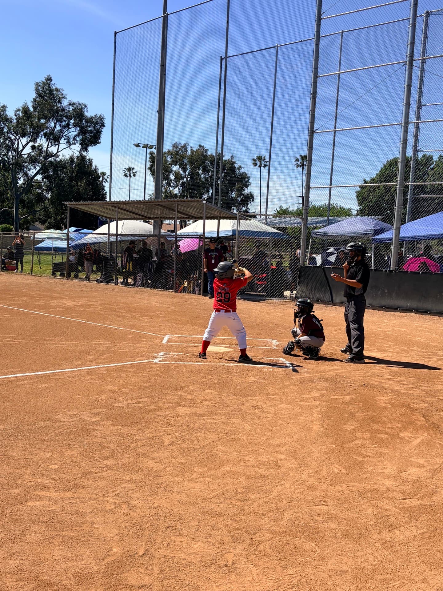 MAD Dawgs batter at the plate